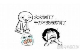 陇南融资清欠服务